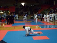 img_1362778008