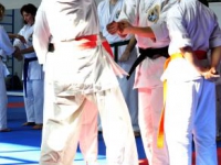 img_1301686555