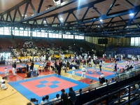 International Cup FEKDA Rimini 16-05-2015 