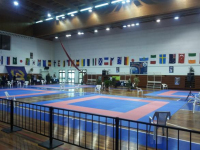 International Cup San Marino Open 2013