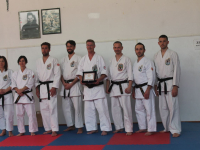 Stage Hanshi Fred van de Vijver RSM Aprile 2017