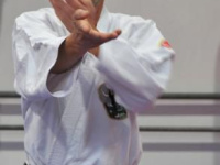 Stage Shihan Fred van de Vijver RSM 2012
